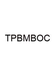 The Prefix Blank Means Brain Or Cerebrum