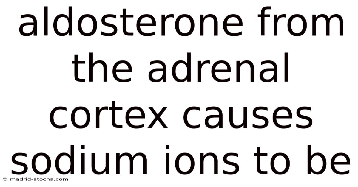 Aldosterone From The Adrenal Cortex Causes Sodium Ions To Be
