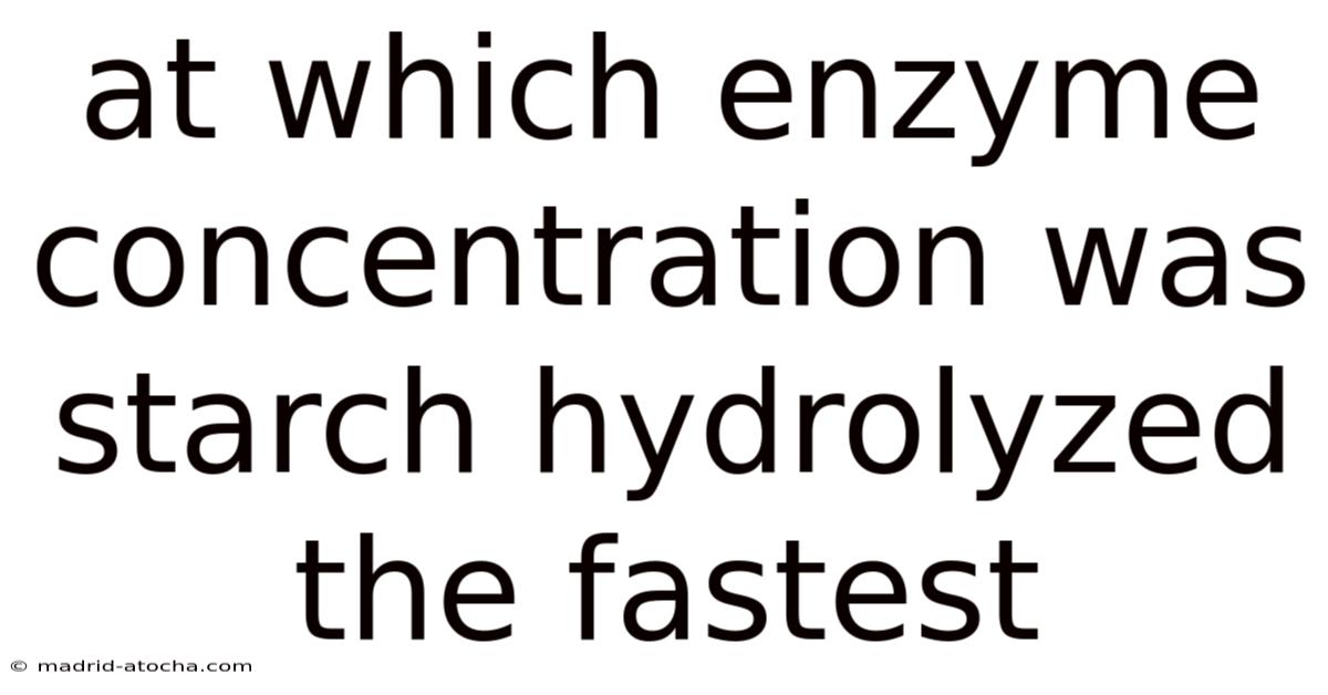 At Which Enzyme Concentration Was Starch Hydrolyzed The Fastest