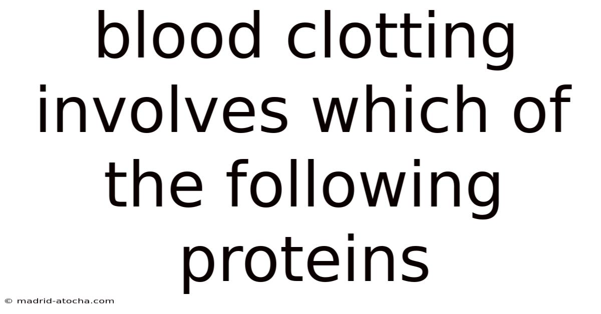 Blood Clotting Involves Which Of The Following Proteins