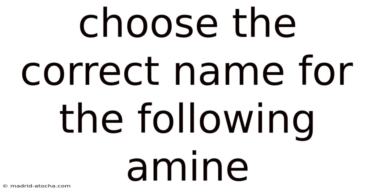 Choose The Correct Name For The Following Amine