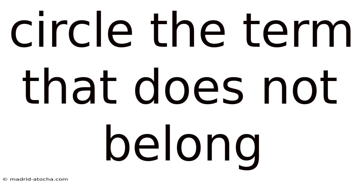 Circle The Term That Does Not Belong