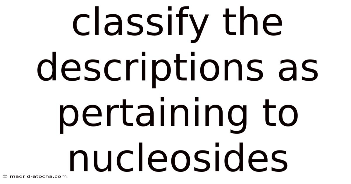 Classify The Descriptions As Pertaining To Nucleosides