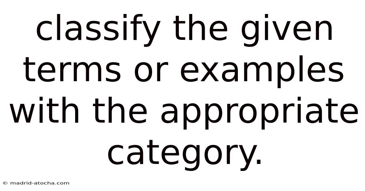 Classify The Given Terms Or Examples With The Appropriate Category.
