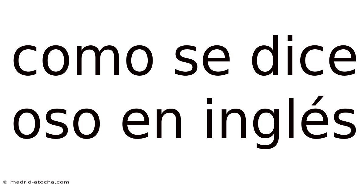 Como Se Dice Oso En Inglés