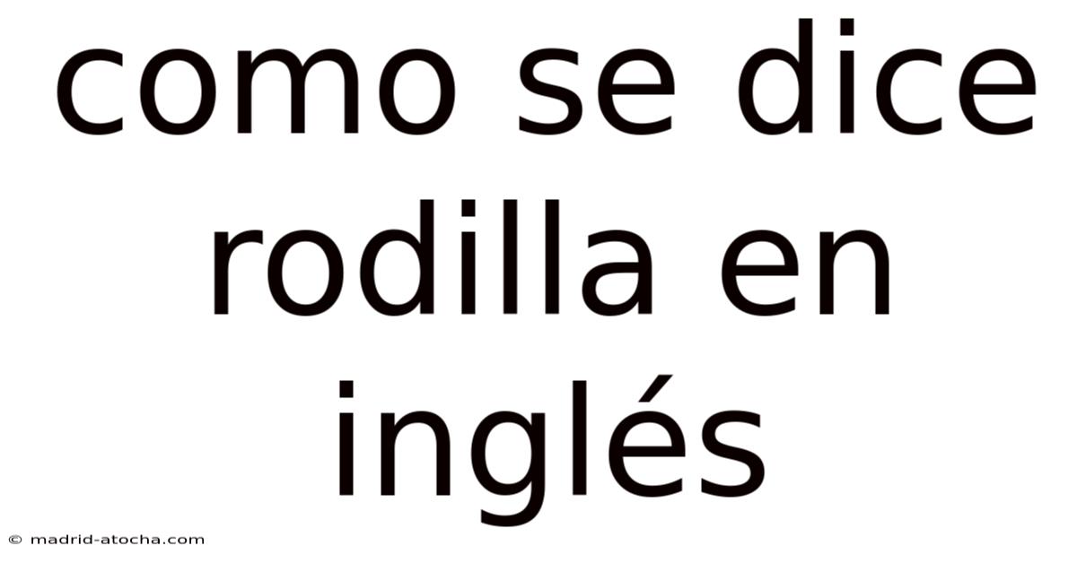 Como Se Dice Rodilla En Inglés