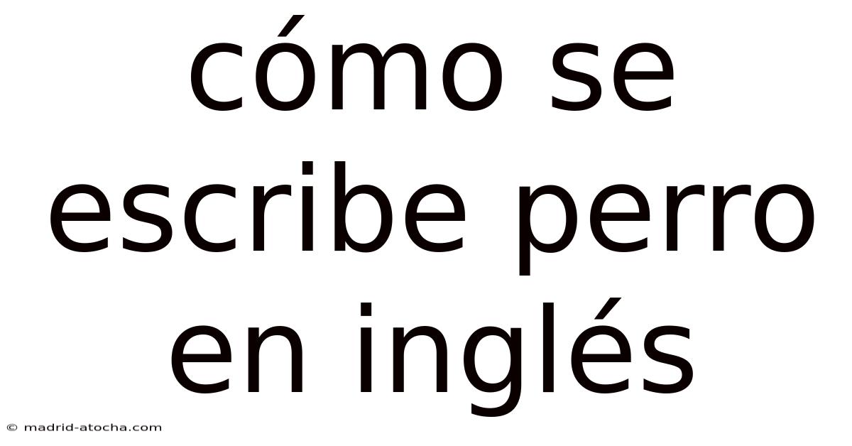 Cómo Se Escribe Perro En Inglés