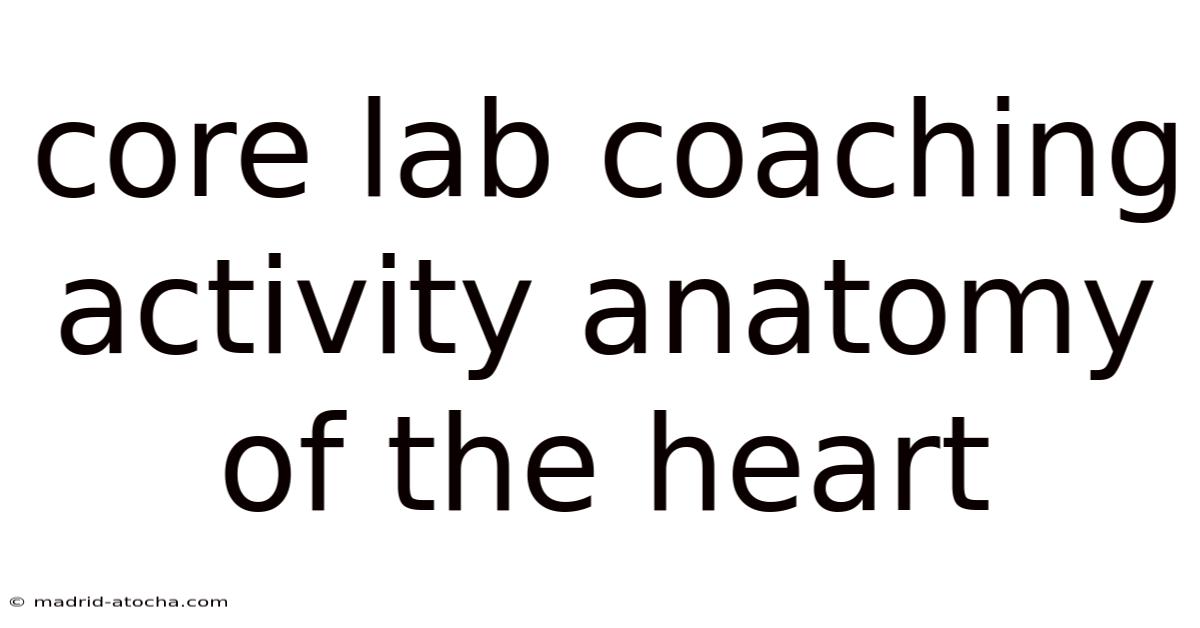 Core Lab Coaching Activity Anatomy Of The Heart