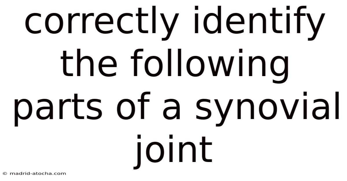 Correctly Identify The Following Parts Of A Synovial Joint