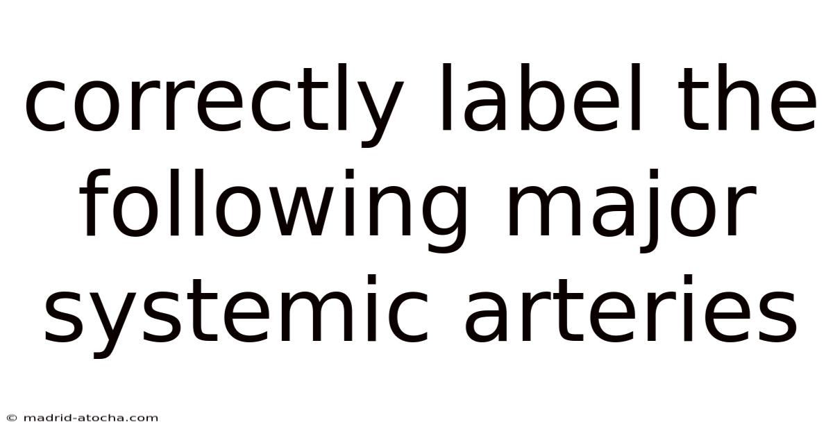 Correctly Label The Following Major Systemic Arteries
