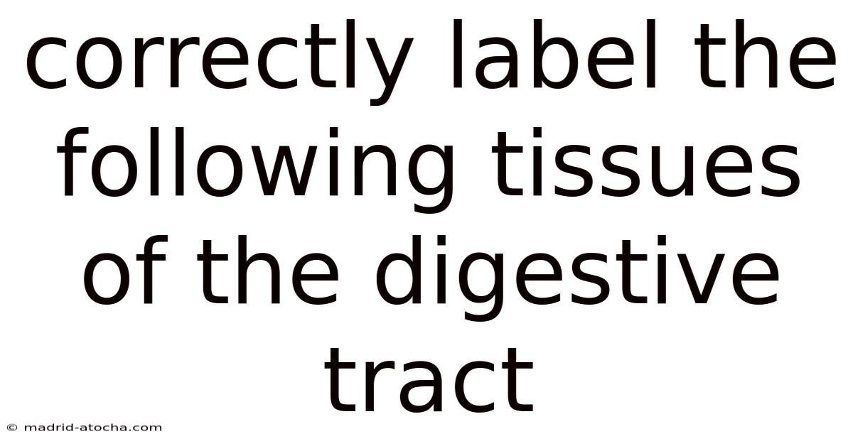 Correctly Label The Following Tissues Of The Digestive Tract