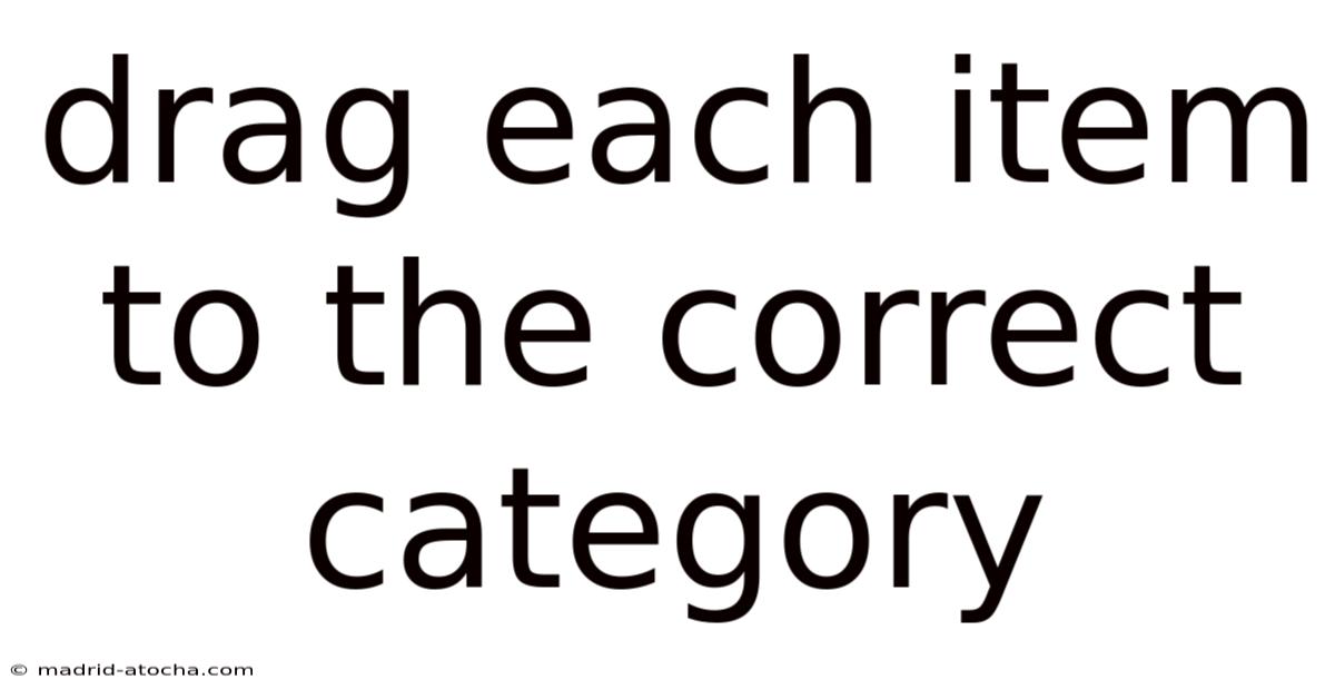 Drag Each Item To The Correct Category