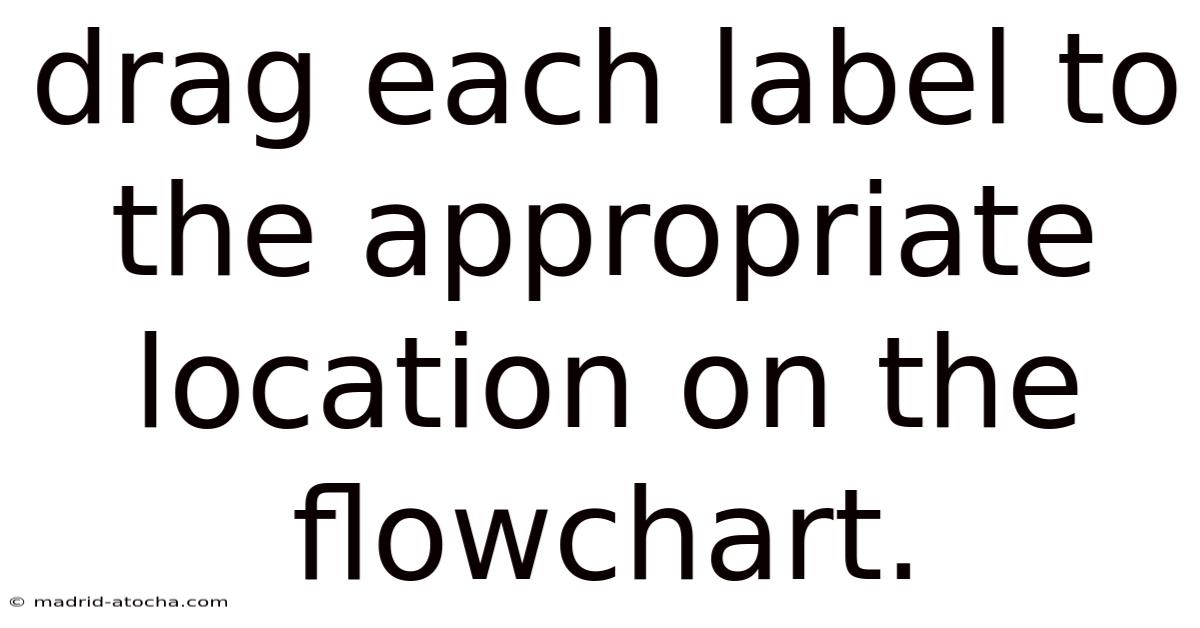 Drag Each Label To The Appropriate Location On The Flowchart.