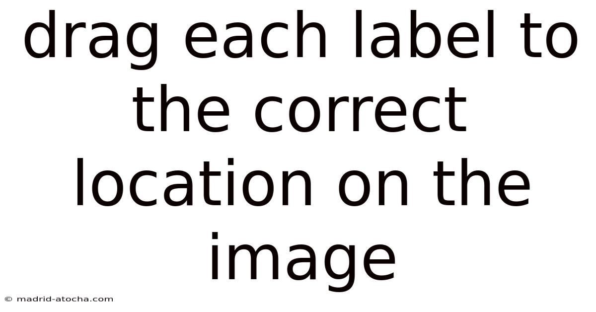 Drag Each Label To The Correct Location On The Image