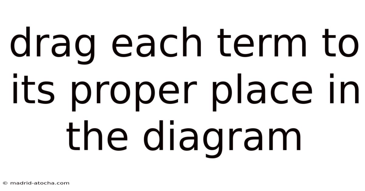 Drag Each Term To Its Proper Place In The Diagram