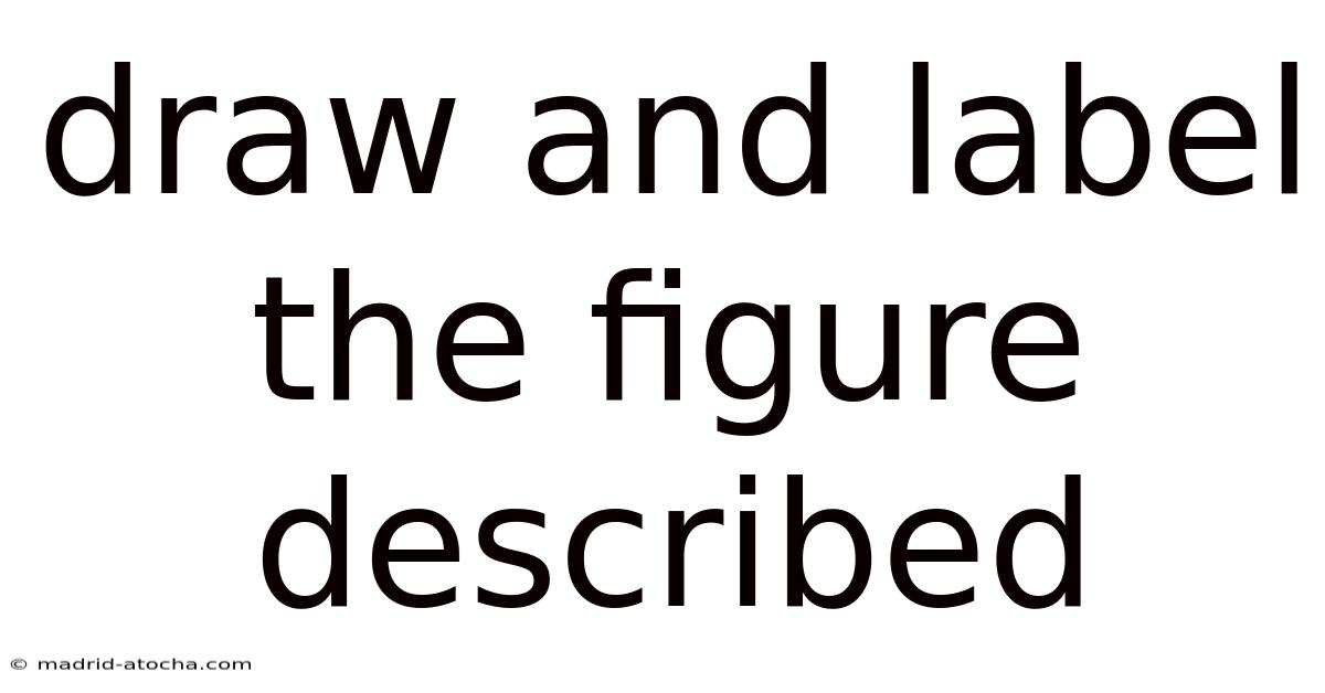 Draw And Label The Figure Described
