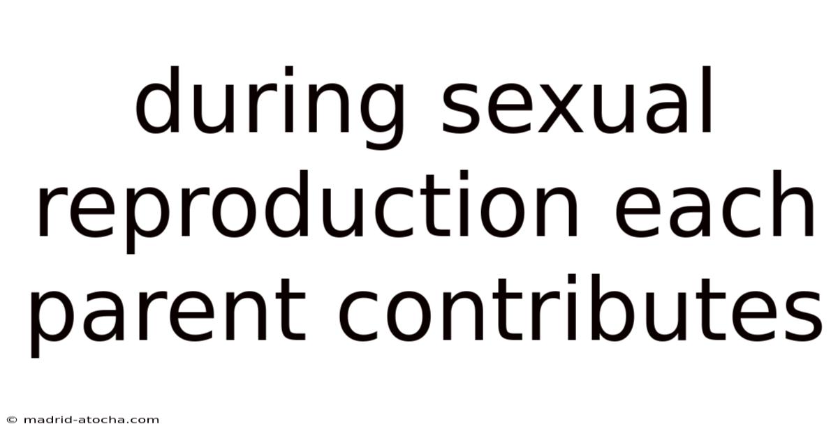 During Sexual Reproduction Each Parent Contributes