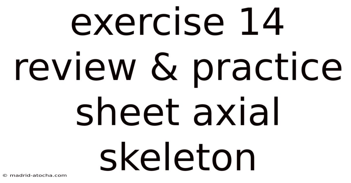 Exercise 14 Review & Practice Sheet Axial Skeleton