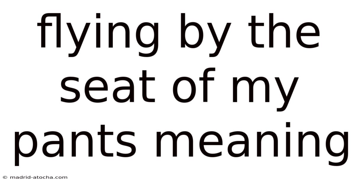 Flying By The Seat Of My Pants Meaning