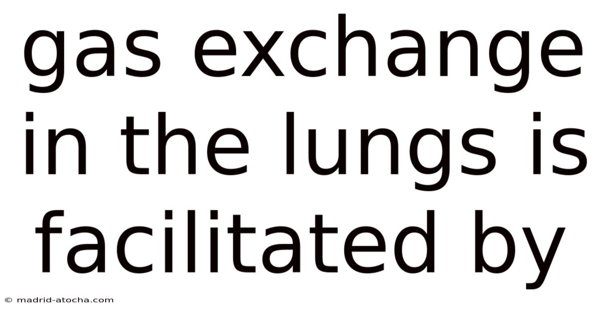 Gas Exchange In The Lungs Is Facilitated By