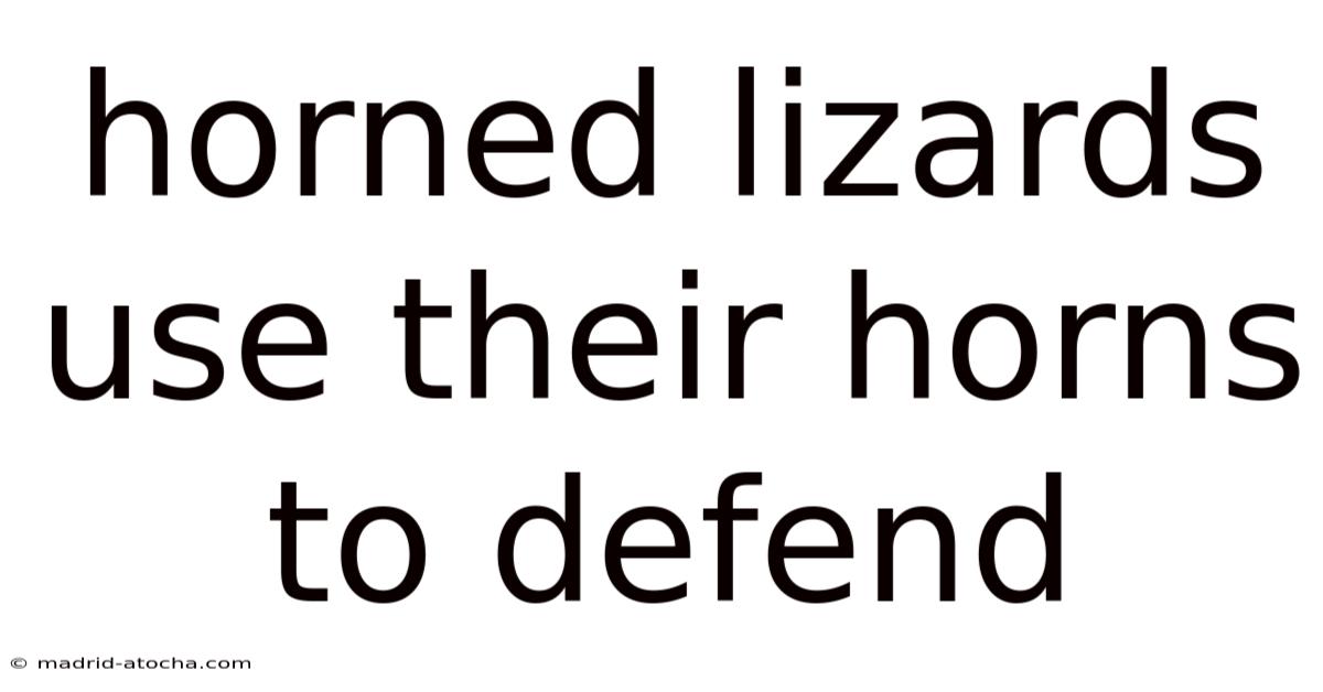 Horned Lizards Use Their Horns To Defend