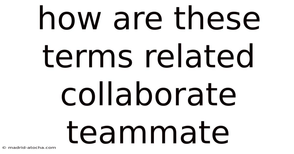 How Are These Terms Related Collaborate Teammate