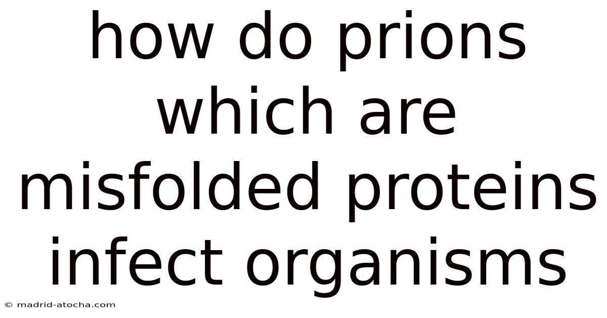 How Do Prions Which Are Misfolded Proteins Infect Organisms