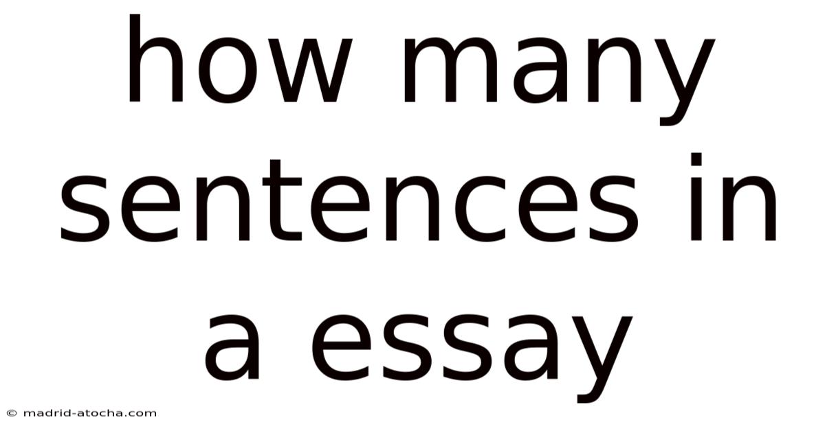 How Many Sentences In A Essay