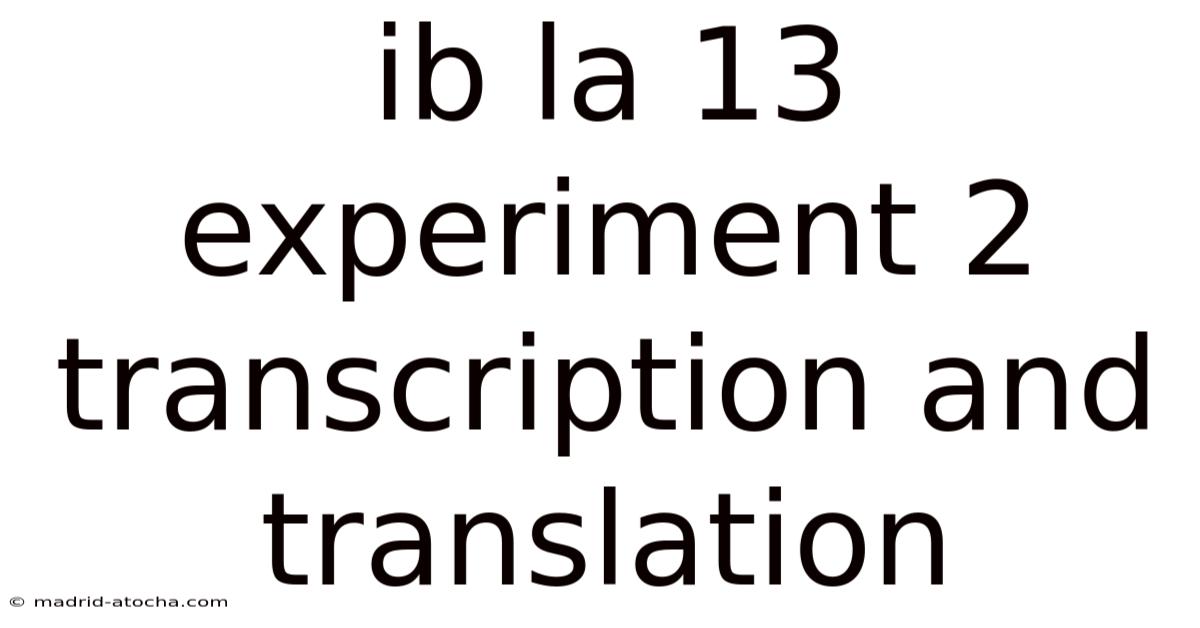 Ib La 13 Experiment 2 Transcription And Translation