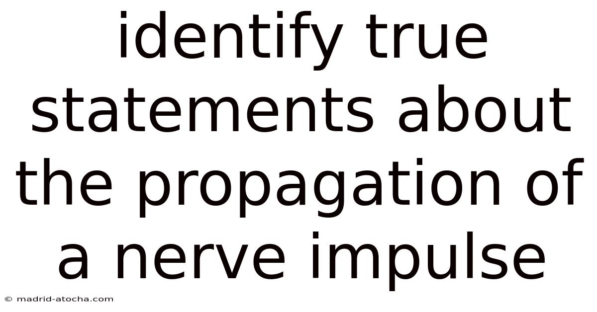 Identify True Statements About The Propagation Of A Nerve Impulse