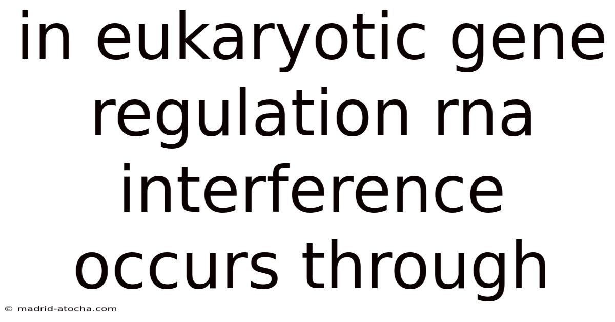 In Eukaryotic Gene Regulation Rna Interference Occurs Through