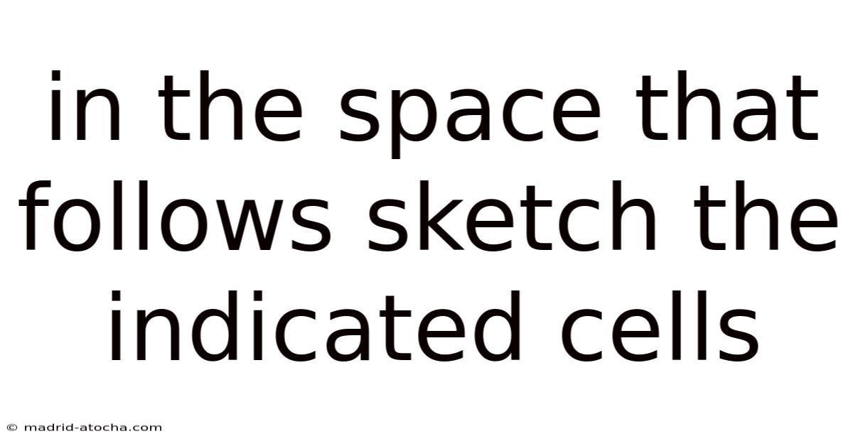 In The Space That Follows Sketch The Indicated Cells