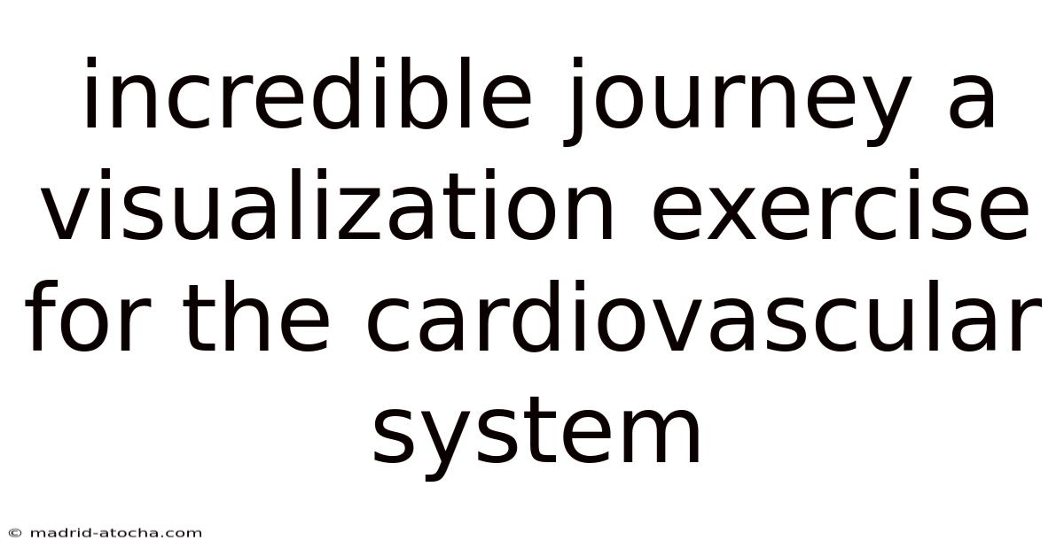 Incredible Journey A Visualization Exercise For The Cardiovascular System
