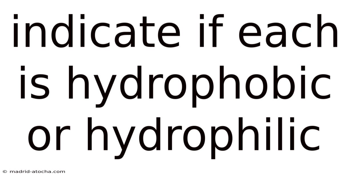 Indicate If Each Is Hydrophobic Or Hydrophilic