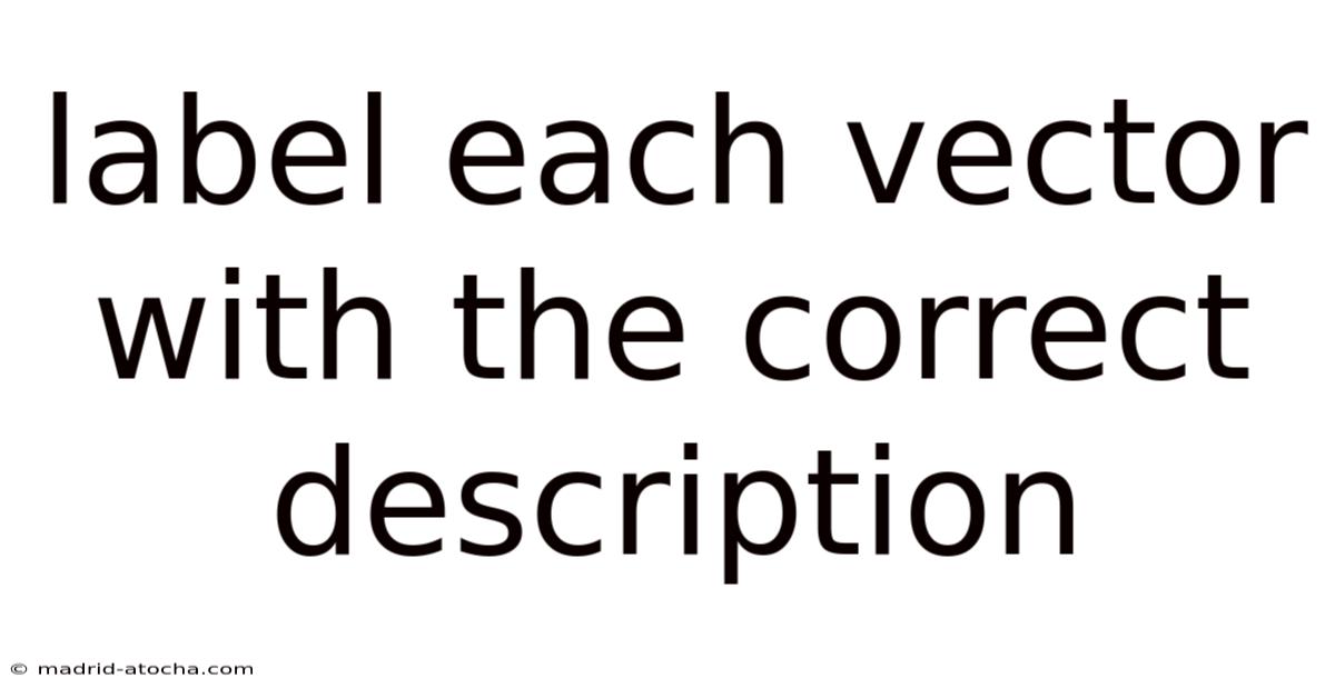Label Each Vector With The Correct Description