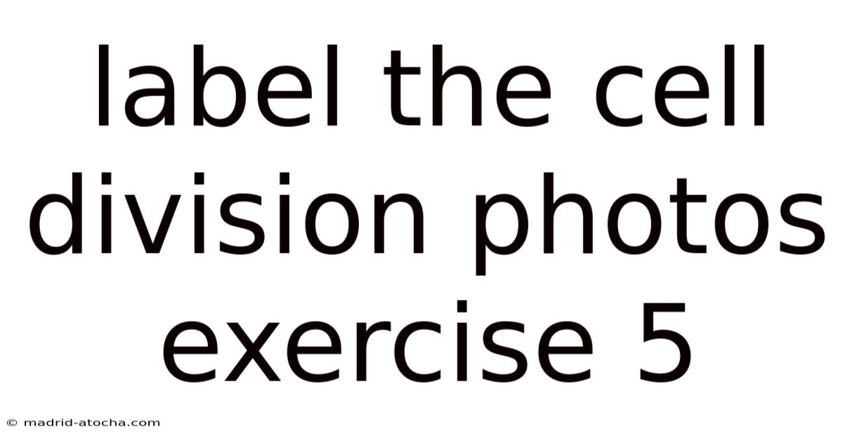 Label The Cell Division Photos Exercise 5
