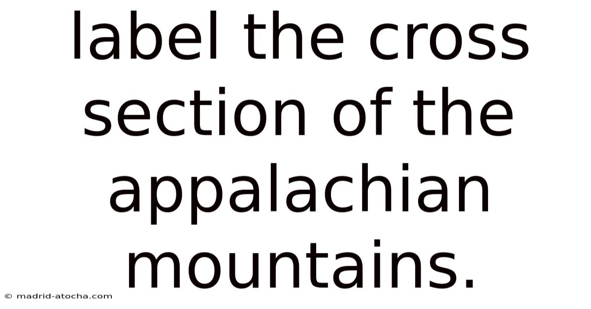 Label The Cross Section Of The Appalachian Mountains.
