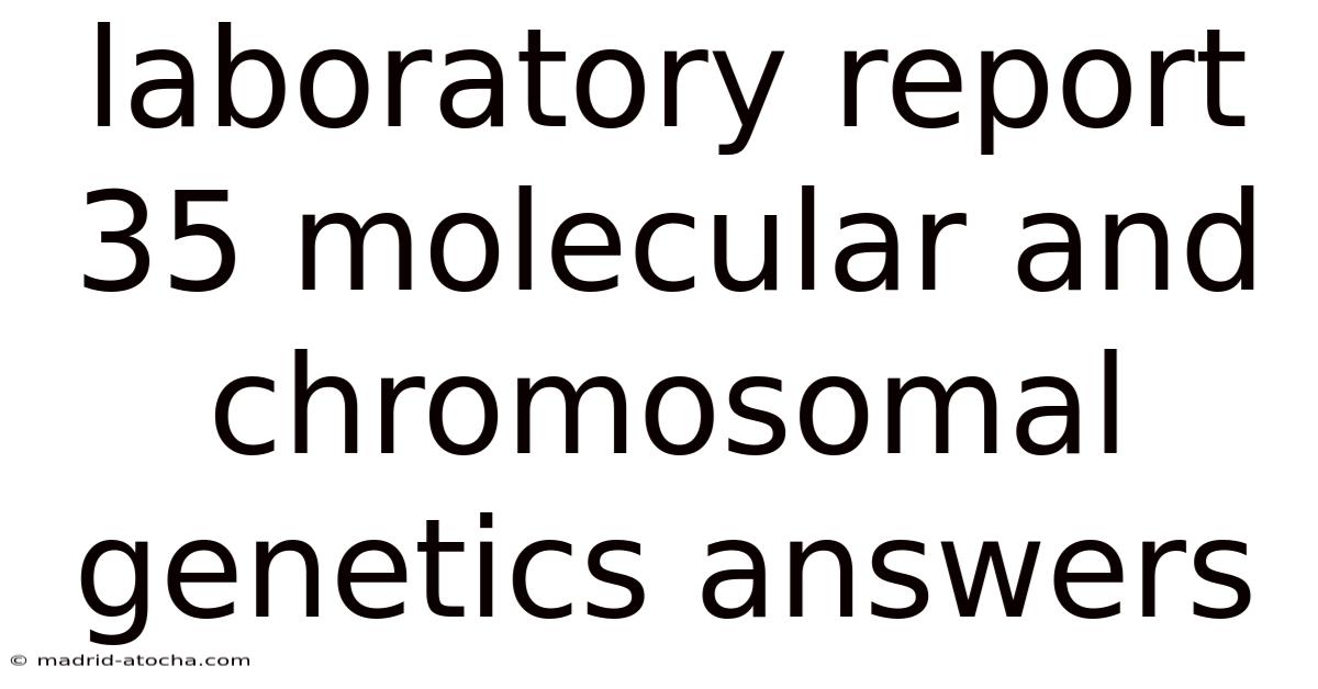 Laboratory Report 35 Molecular And Chromosomal Genetics Answers