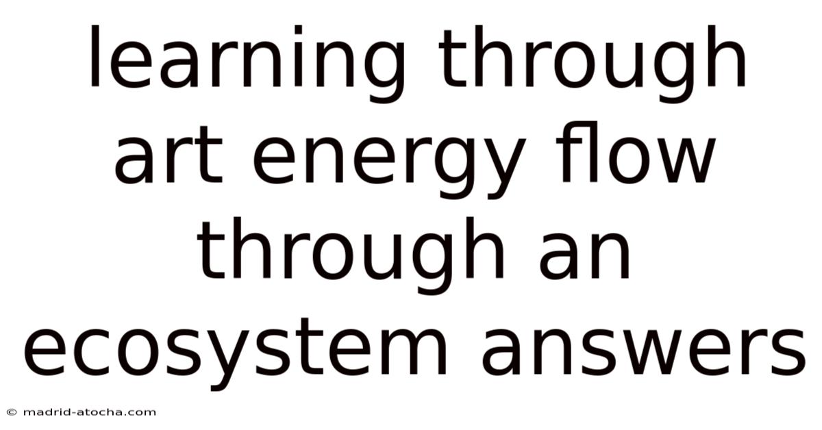 Learning Through Art Energy Flow Through An Ecosystem Answers