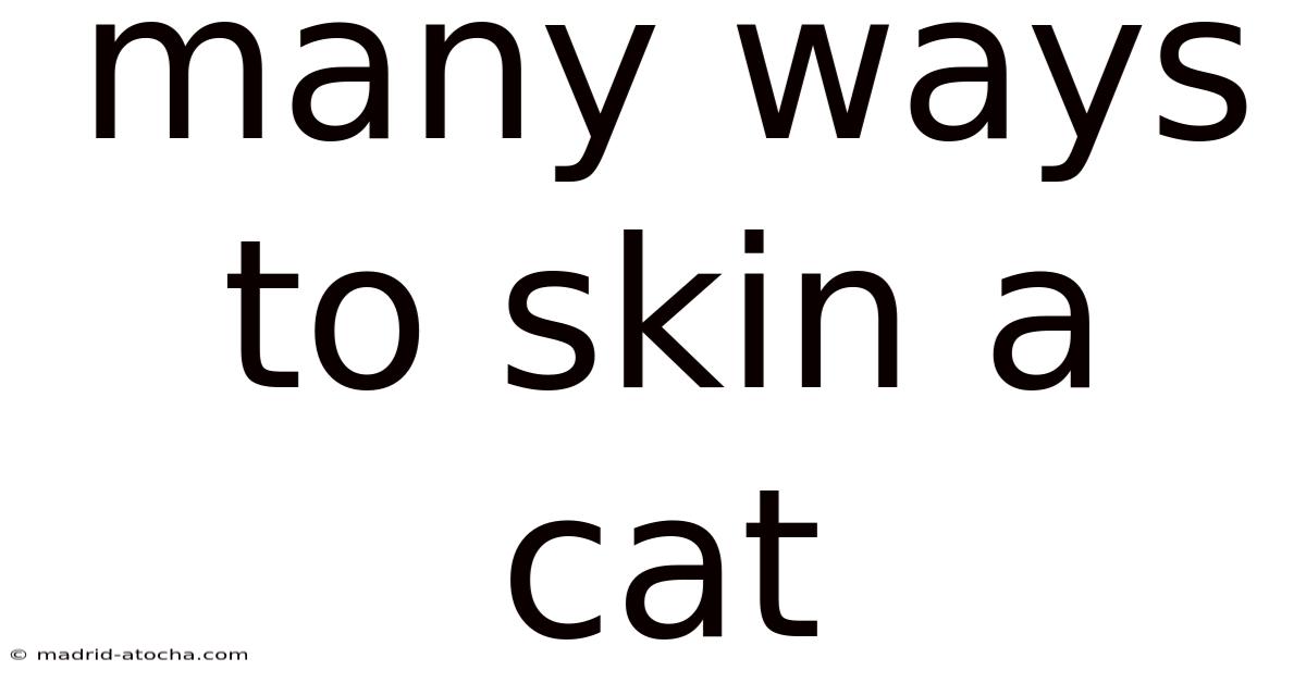 Many Ways To Skin A Cat