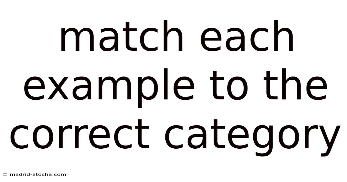 Match Each Example To The Correct Category