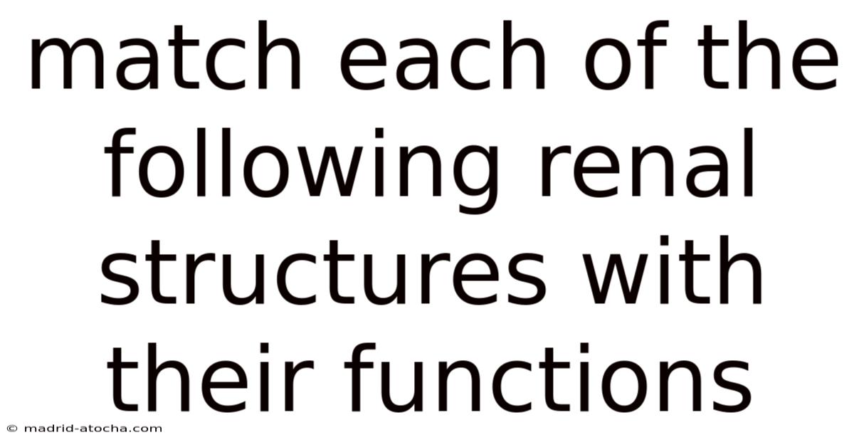 Match Each Of The Following Renal Structures With Their Functions