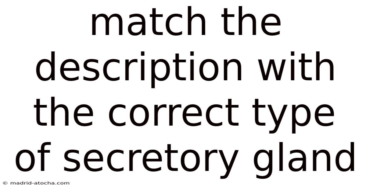 Match The Description With The Correct Type Of Secretory Gland