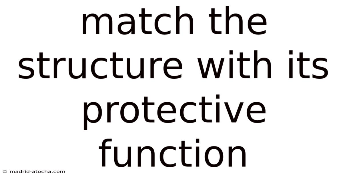 Match The Structure With Its Protective Function
