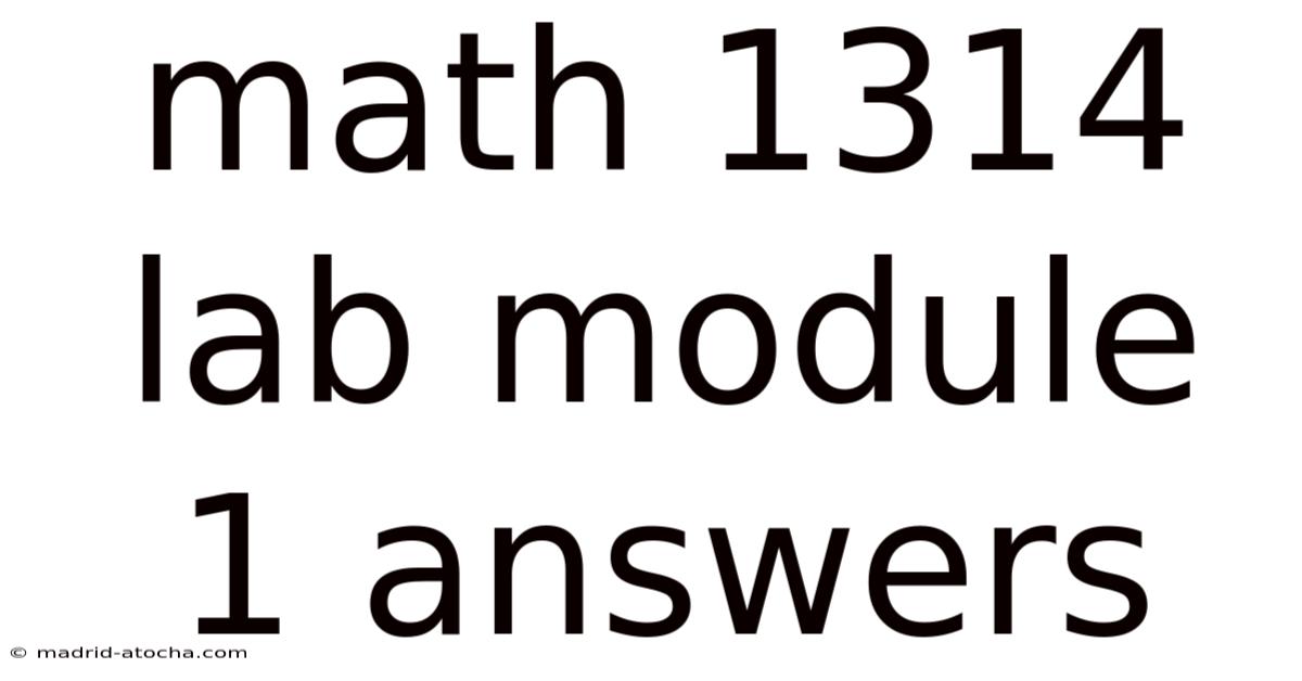 Math 1314 Lab Module 1 Answers