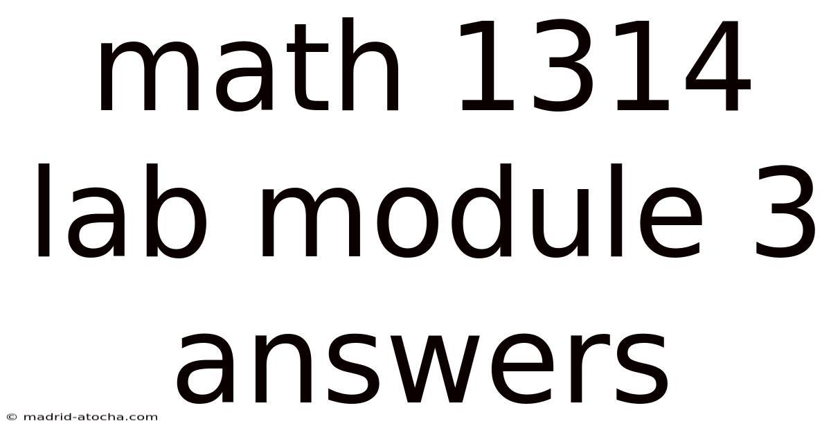Math 1314 Lab Module 3 Answers
