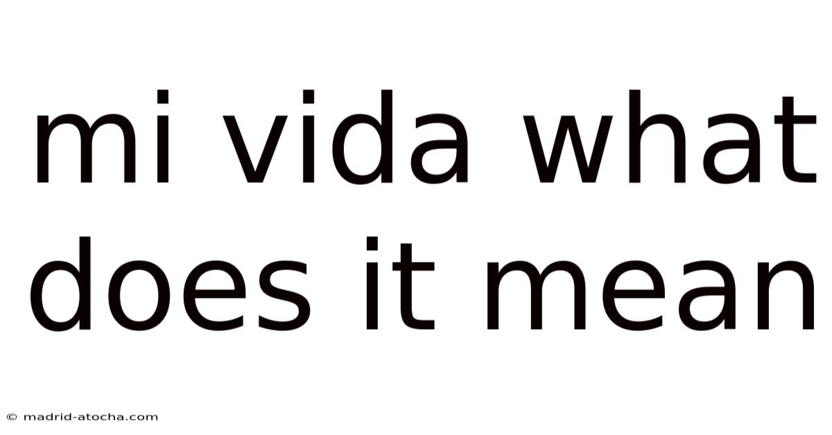 Mi Vida What Does It Mean