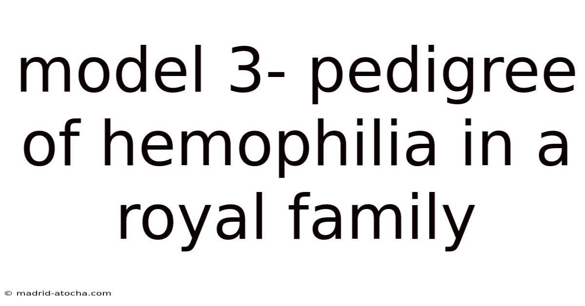 Model 3- Pedigree Of Hemophilia In A Royal Family