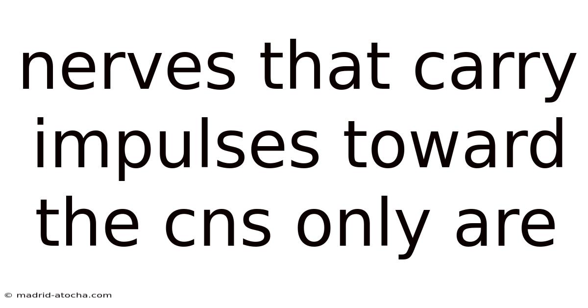 Nerves That Carry Impulses Toward The Cns Only Are