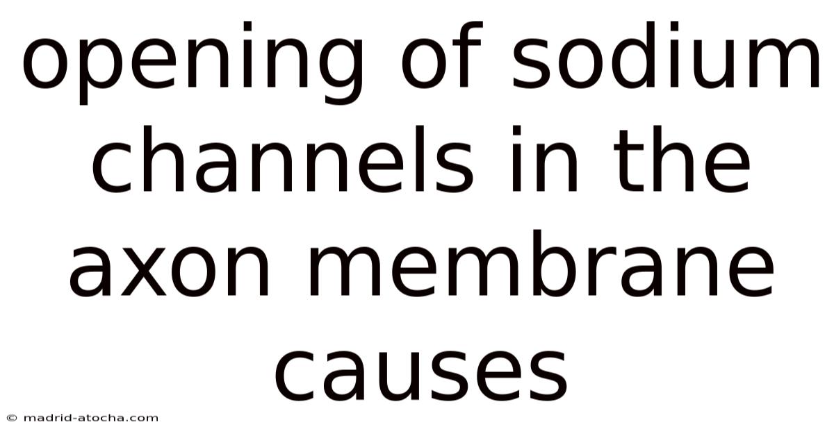 Opening Of Sodium Channels In The Axon Membrane Causes